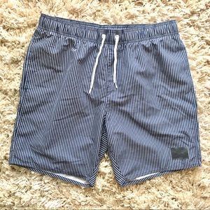 Speedo Blue Pinstriped Swim Shorts